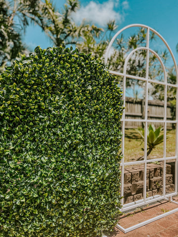 Single Arch Greenery Backdrop 1.5m