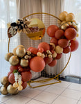 Circle backdrop+3m balloon garland package